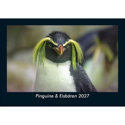 Pinguine & Eisbären 2027 Fotokalender DIN A5