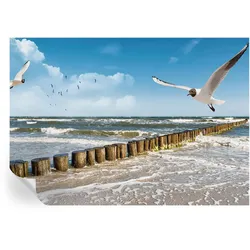 FOTOTAPETE 208x146 cm - Küstenlandschaft