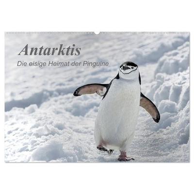 Antarktis, die eisige Heimat der Pinguine (Wandkalender 2027 DIN A2 quer), CALVENDO Monatskalender