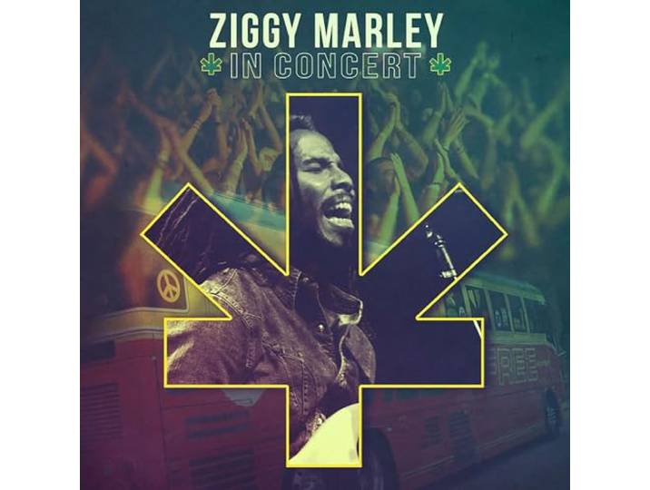 Ziggy Marley - In Concert