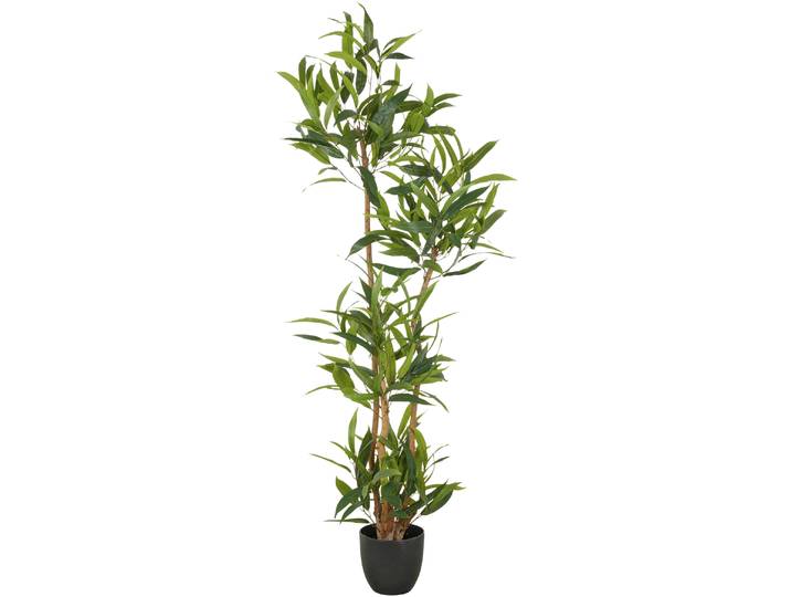 Kunstbaum CREATIV GREEN Ficus maclellandii , grün, H:150cm, Kunststoff, Kunstpflanzen, Kunstbaum, mit echtem Holzstamm