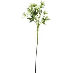 House Doctor Künstliche Blume Eryngium, cremefarben