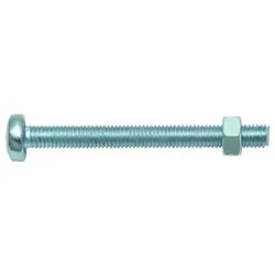 PROTEC Gewindeschraube VE10 PSGSK 4x10 inkl. Mutter