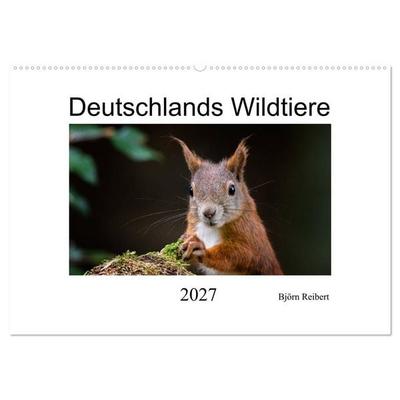 Deutschlands Wildtiere (Wandkalender 2027 DIN A2 quer), CALVENDO Monatskalender