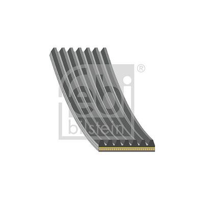 Febi Bilstein Keilrippenriemen [Hersteller-Nr. 184929] für Alfa Romeo, Kia, Jeep