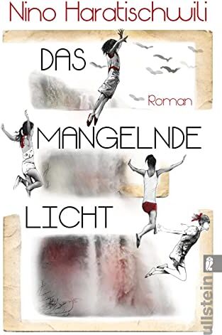 Nino Haratischwili - Das mangelnde Licht: Roman Der jüngste Roman der großen georgisch-deutschen Erzählerin – wochenlang auf der Bestsellerliste und von Kritikern hoch gelobt - Preis vom 09.10.2026 07:28:09 h
