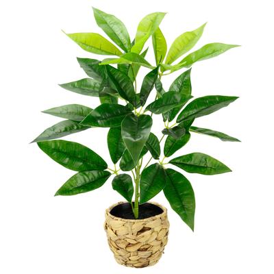 Kunstpflanze I.GE.A. "Schefflera", grün, B:30cm H:48cm L:30cm, Kunstpflanzen, Kunstpflanze, Mit Übertopf Künstliche Seidenblumen