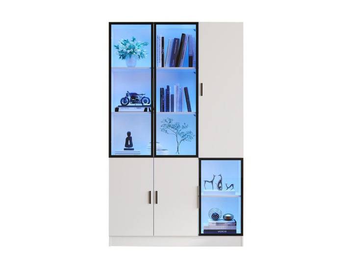 120 * 35 * 200cm vitrine vitrine en verre armoire en verre porte 200cm de haut vitrine avec lumières LED bibliothèque MultiStorage