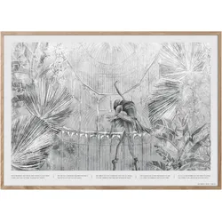 ChiCura, Bilder, Graceful Groove Poster (70 x 100 cm)