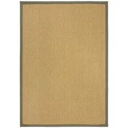 KADIMA DESIGN Flachgewebe Teppich Indoor Outdoor | Robuster Sisal-Look mit Bordüre | Pflegeleicht & Schmutzabweisend | 120x170cm