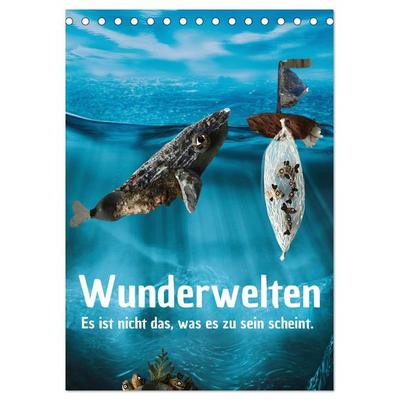 Wunderwelten - Es ist nicht das, was es zu sein scheint. (Tischkalender 2026 DIN A5 hoch), CALVENDO Monatskalender