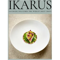 Ikarus, Ratgeber von Ikarus-Team, Martin Klein