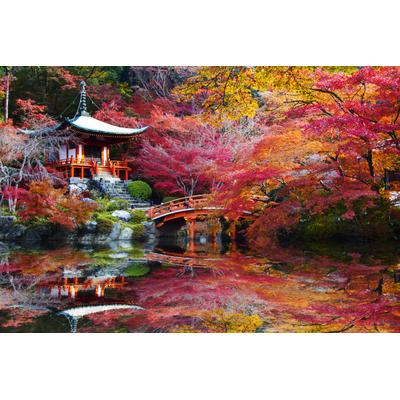 Fototapete PAPERMOON "Japanischer Garten", bunt, B:4m L:2,6m, Vlies, Tapeten