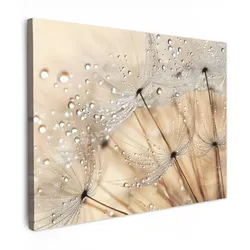 LEINWANDBILD Löwenzahn - Abstrakt - Natur - Beige Wandbilder 80x60 cm