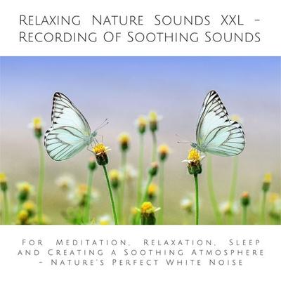 Relaxing Nature Sounds (without music) - Recording Of Soothing Nature Sounds - Yella A. Deeken, Audio, 4064066261115