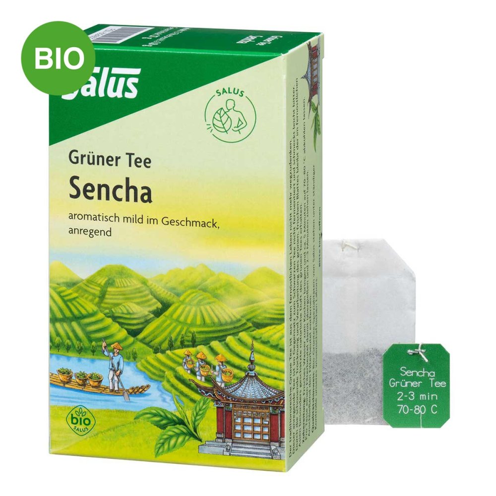 SALUS Pharma GmbH Grüner Tee bio Salus Filterbeutel 00249372