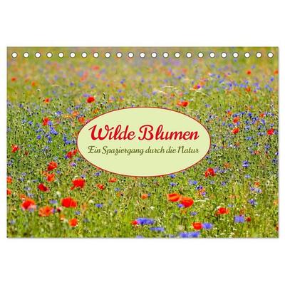 Wilde Blumen - ein Spaziergang durch die Natur (Tischkalender 2027 DIN A5 quer), CALVENDO Monatskalender