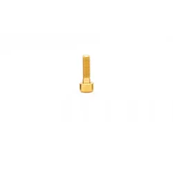 OAK COMPONENTS Schraube für Orbit Sattelklemme | Titan | gold