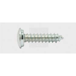 SWG 4009146163606 Nummernschild-Schrauben 4.8 mm 16 mm Kreuzschlitz Phillips Stahl verzinkt 100 St.