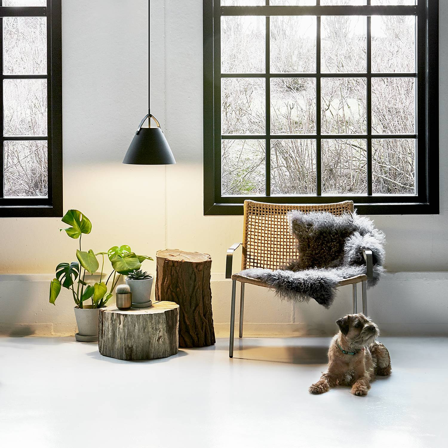 DFTP by Nordlux Hanglamp Strap IV zwart metaal B/D/H: 27 x 27 x 27 cm