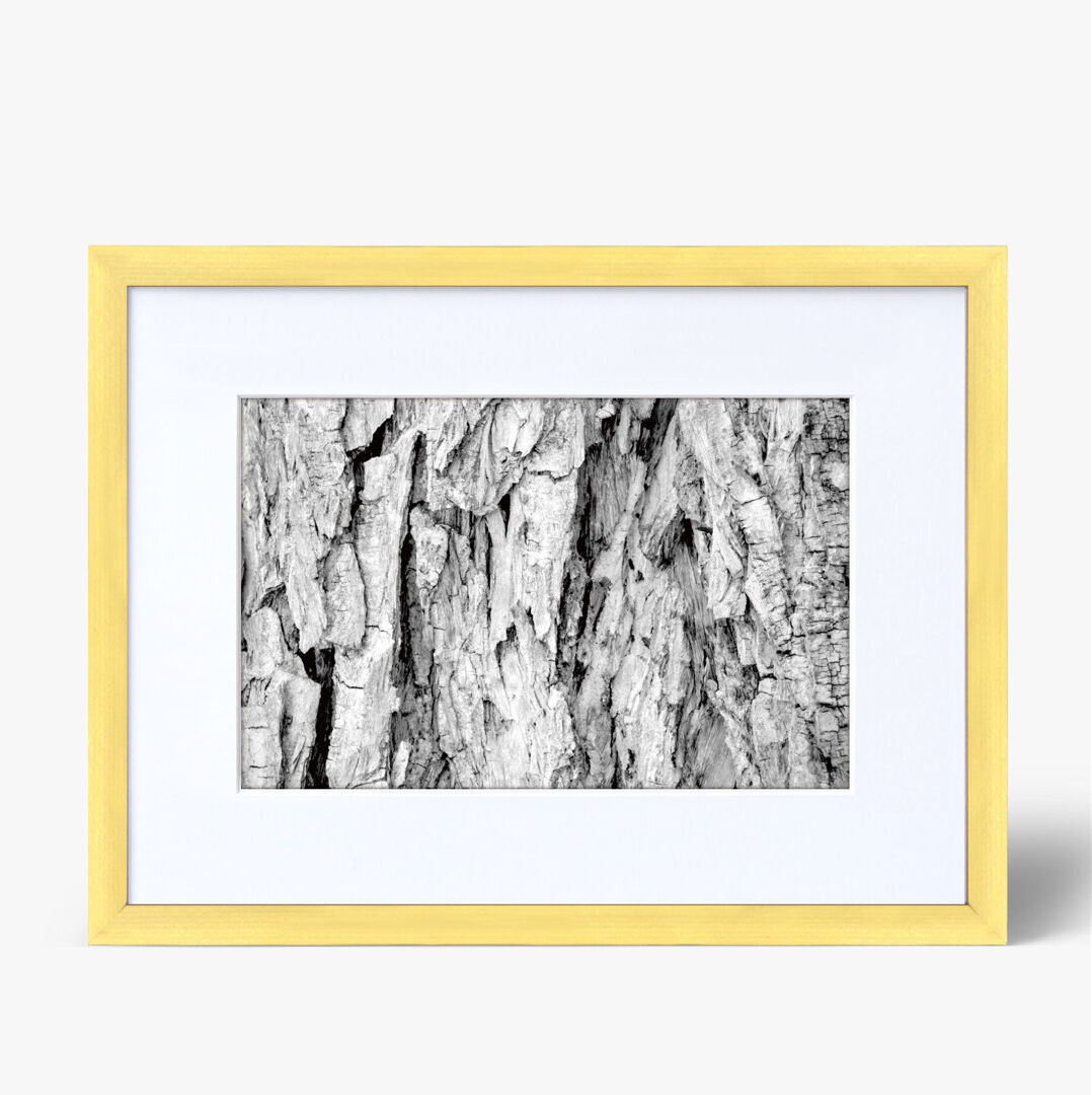 17 Stories Mato Gallery Wall Picture Frame - Frames Included: 7 Gold