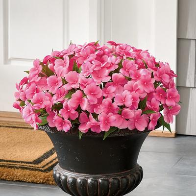 Impatiens Urn Filler - Fuchsia - Grandin Road