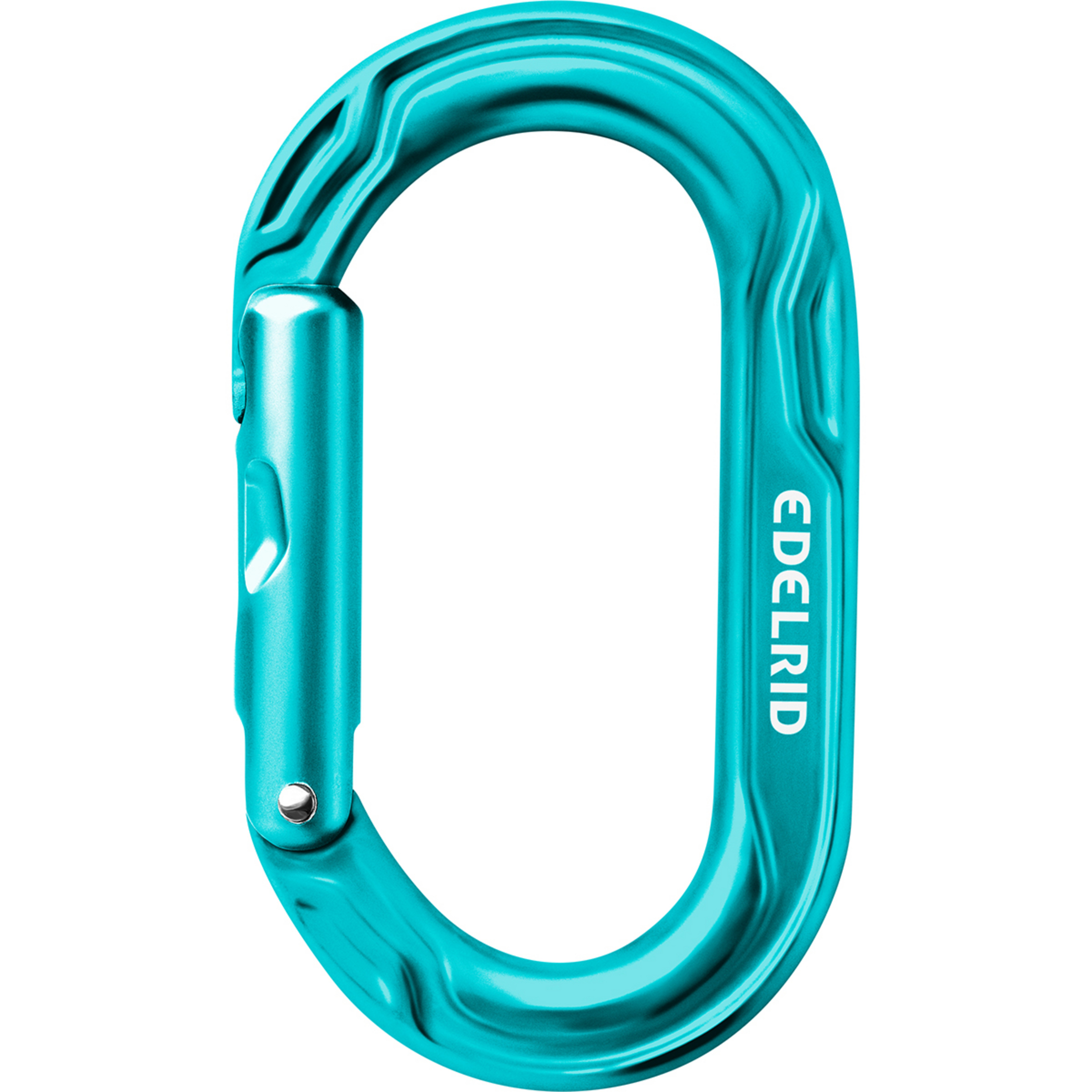 Edelrid Kiwi Karabiner Karabiner tuerkis Alpinklettern