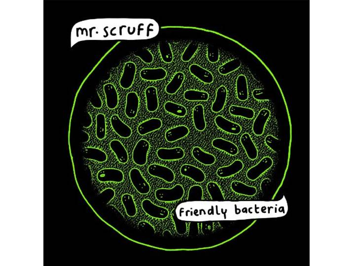 Friendly Bacteria