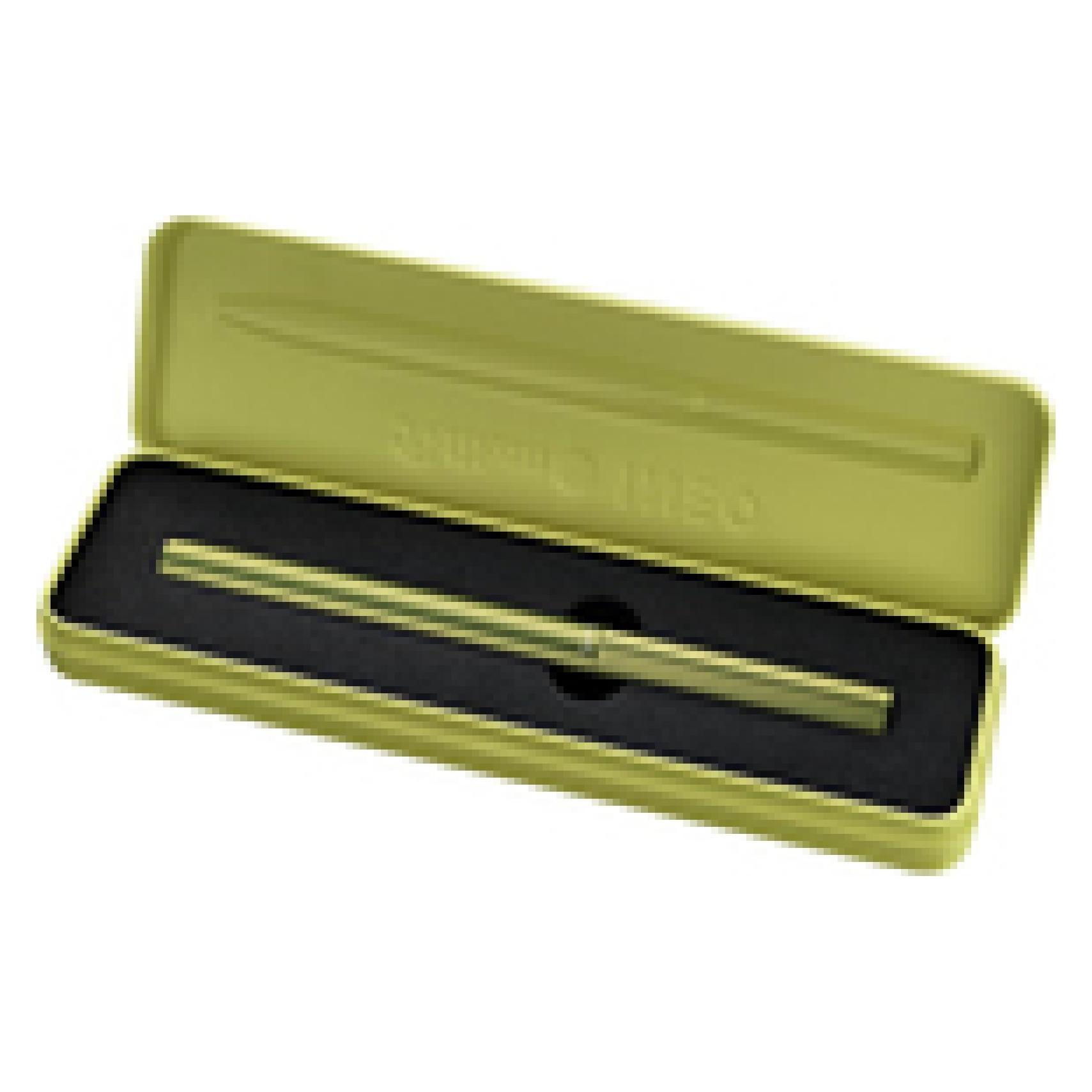 Pelikan Füllhalter Ineo Elements P6 -Etui Frühl.-Grün (1x) (823692)