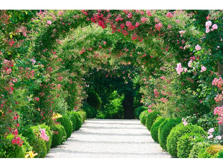 Fototapete PAPERMOON Rose Arch Garden , bunt, B:1,5m L:1,11m, Vlies, Tapeten, Fototapete