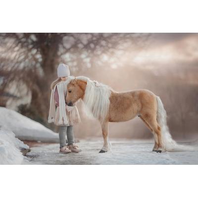 Fototapete PAPERMOON "PALOMINO MINIATURE PFERD-MÄDCHEN WINTER TIER PONY MINI", bunt, B:3,5m L:2,6m, Vlies, Tapeten