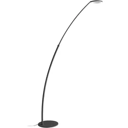 Gea Luce GPIN30 Stehleuchte – 25-W-LED-Stehleuchte, 3000 K, 1442 lm, verstellbar, mattschwarz, mit Fußschalter – Gealuce