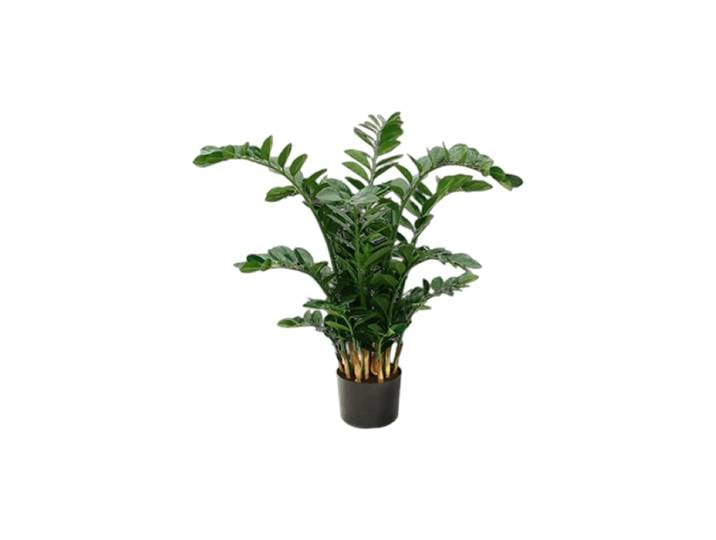 Lebensechte Kunstpflanze „Zamioculcas Zamiifolia“, Ø 80 x 115 cm Grün Baq Design