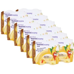 Nutrini Creamy Fruit Sommerfrüchte 48X100 g