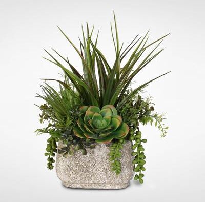 Artificial Succulent Variety in Stone Pot - Green
