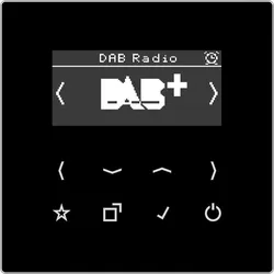 Jung DABLSSW Smart Radio DAB+, Serie LS, schwarz DAB LS SW