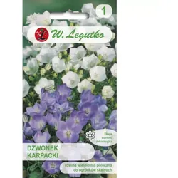 Karpaten-Glockenblume, weiß, blau, Mischung