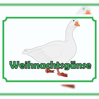 HB-Druck Weihnachtsgans Verkaufsschild Schild A5 Rückseite selbstklebend