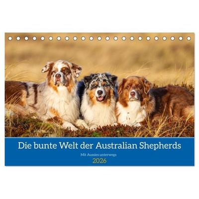 Mit Aussies unterwegs - Die bunte Welt der Australian Shepherds (Tischkalender 2026 DIN A5 quer), CALVENDO Monatskalender
