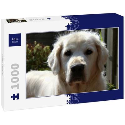 Lais Puzzle Golden Retriever 1000 Teile
