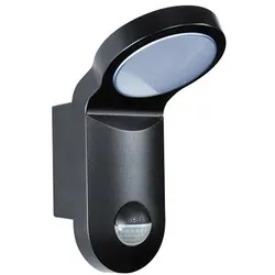 Esylux EL10750014 Automatikleuchte mit 140° Bewegungsmelder im Aluminiumgehäuse, 10 Watt, 5000 K, schwarz AOL WL 100 OP 900 850 MD BK