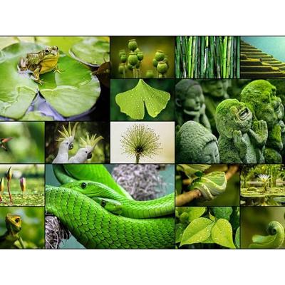 CALVENDO Puzzle Asian Impressions | 1000 Teile Lege-Größe 64x48cm Foto-Puzzle für glückliche Stunden