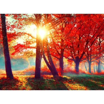 Papermoon "Autumn Park" glatt