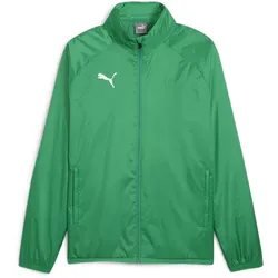 PUMA teamGOAL Allwetterjacke Herren 05 - sport green/puma white S