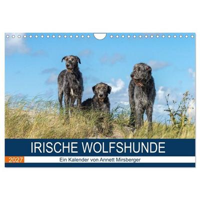 Irische Wolfshunde (Wandkalender 2027 DIN A4 quer), CALVENDO Monatskalender
