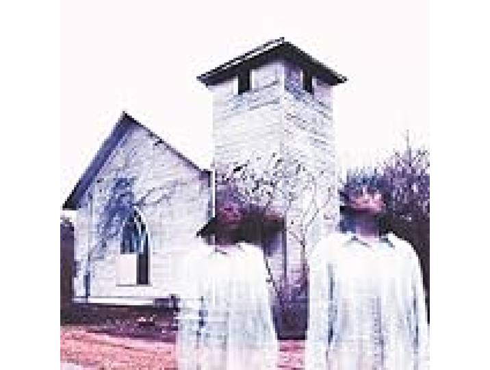 Whispers in the Speech Machine - Purple Bone Vinyl