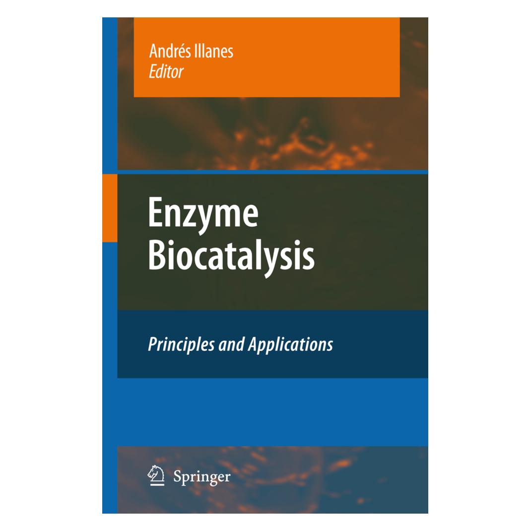 Springer Enzyme Biocatalysis (Englisch, Softcover, Andrés Illanes) (55378857)