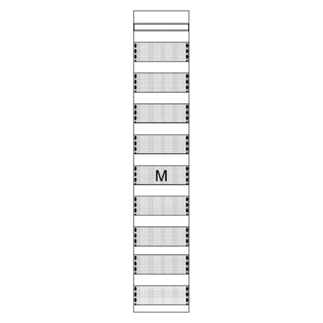 Striebel & John Striebel&John Mediafeld FM19 (2CPX054022R9999)