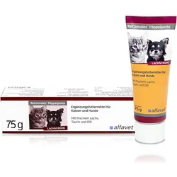 RECONVALES Päppelpaste f.Hunde/Katzen 75 g