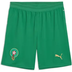 Puma, Herren, Sporthose, FRMF Shorts Replica (S), Grün, Gelb